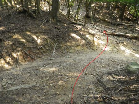 宮峠に到着。右に行くと長谷にエスケープできるけど体力的にまだまだ行けそうだったので牛の子山に行くことにした。牛の子山は方角的にここはほぼ直進する