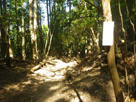 写真には写ってないけど、このプレートに薄っすらと牛の子峠と書いてあった