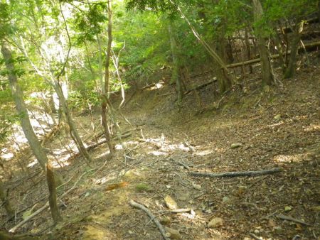 宮峠から牛の子峠までの登山道はなだらかで歩きやすくペースも早くなってきた