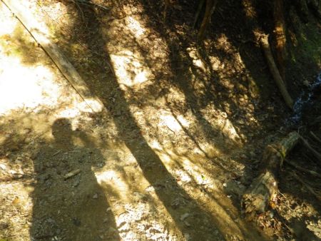 さっきのところの右側は沢のようになっていて、とても登山道とは思えないんだけどなんとか進んでいく