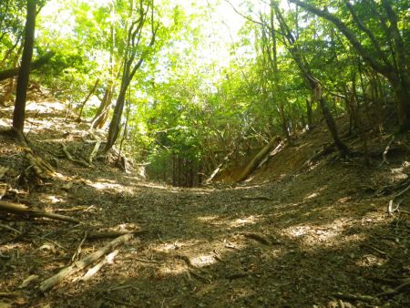 ここのコル部ぽいところが牛の子峠で牛の子山をピークハントするならここを左に登っていく