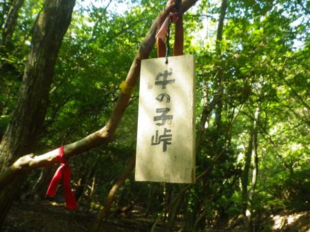 牛の子峠というプレートがあった。テープが巻いてあるけど牛の子山はこっち側ではない