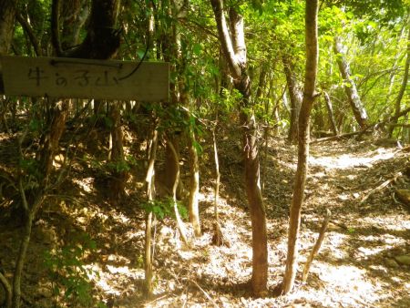 牛の子山の登り口にプレートがあったけど矢印もなにも書いてない。とにかくここを登っていく