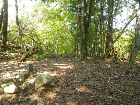 牛の子山山頂(450.7m)に登頂。山頂には三角点も設置されていた