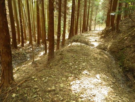 牛の子峠まで下ってそのまま道なりに南東へ下っていくと沢筋になる