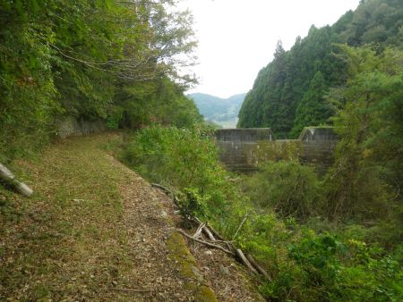 この堤防のところまでくるとあとは農道を歩いて道路に出る