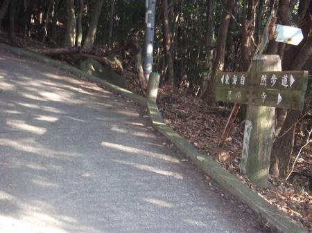 宝池寺の入り口。ここから宝池寺までがちと急斜面です