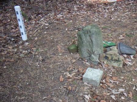 竜王山の山頂。三角点です。広場までいく道の少し手前に左側を見ているとあります