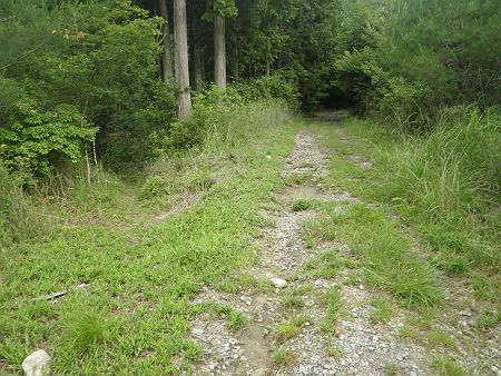 少し先に進んでいくとさらに分岐があった。ここを左に行くのが正解