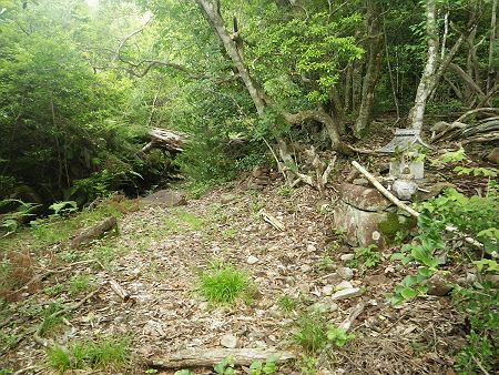 分岐を左にいくと祠のようなものがあって行き止まりのように思えたが、右側から巻いて進んでいくとわずかな踏み跡があった