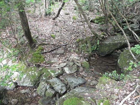 この沢を渡ると急登がはじまるはず