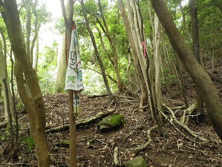 ルーファイを続けていると比較的新しいピンクテープを発見したので、それを辿りながら登っていくと旗のようなものがあった