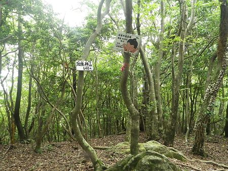 最初のピークである加東市最高峰の加東神山（648m）に到着。ただのピークで休憩する場所もないので、次なるピークへ向かうことにした