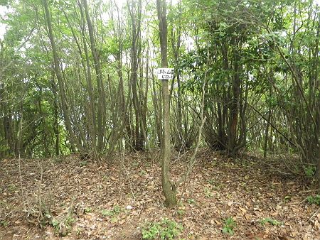 洞ヶ山（672m）の山頂プレートを撮影しておいて、少し休憩することにした