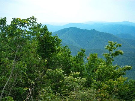 角度を変えてみて西寺山を撮影してみた。ここも展望がないので登る気がしない山なんだけどね