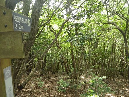 ここの分岐からは近畿自然歩道の道標に従って下っていく
