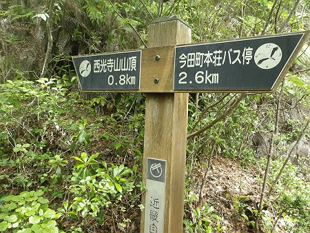 山頂から0.8km地点ということは最初の道標まで、まだ1kmもあるが、ここからの下りは滑りやすい岩場だったのでペースが落ちた