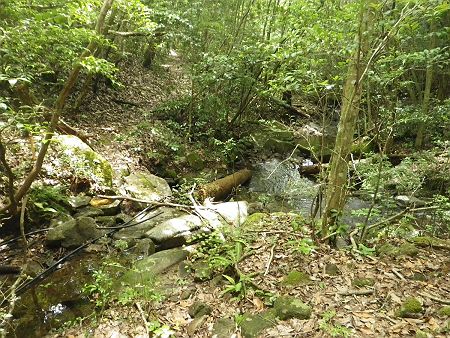 沢筋に出たところで、あまりにも暑くて休憩することにした。ここからはなだらかな登山道になる