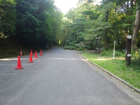 勝尾寺園地駐車場に車をとめてスタート