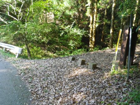 今回は自然研究路４号線のここから入山する