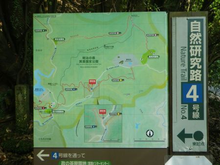 地図をみるとこのまま自然研究路４号線を進んでいくと政の茶屋に行くんだけど途中で最勝ヶ峰に登る分岐がある