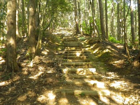 階段もあるけどそんなにしんどくないし、登山道はよく整備されている