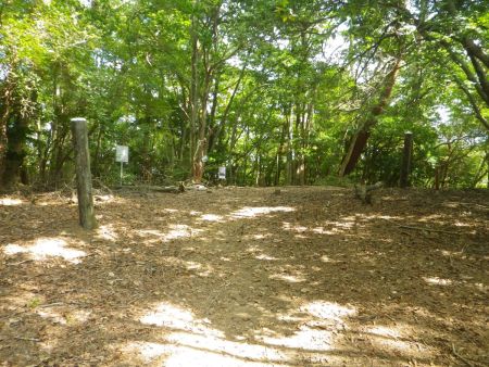 偽ピークらしきところに到着したけどここには何もない。ここから下ってまた登りになる。東海自然歩道はアップダウンが多いんだよね