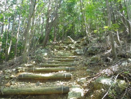 ちょっとした急登の階段が終わるとガレた道になるけど、歩きにくいわけでもない