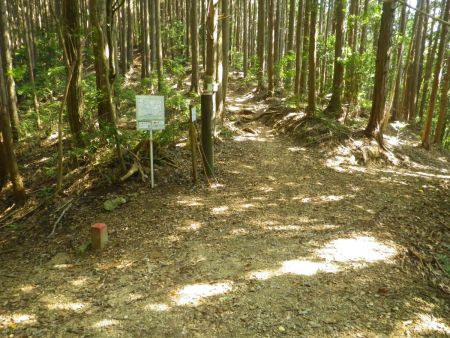 開成皇子墓から一旦下ると勝尾寺へ下る分岐がある。今回はこういうエスケープルートがあるので安心だった。まだまだ行けるので東海自然歩道を進んでいく