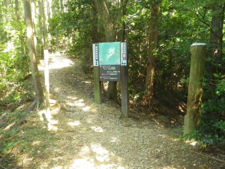 自然研究路８号線の分岐。ここから勝尾寺園地へ下っていけるけど体力的にはまだぜんぜん行けるのでこのまま東海自然歩道を進んでいくことにした