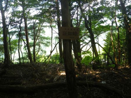 箕面最高峰の証如峰(604.2m)に到着。箕面市の最高峰って明ヶ田尾山の手前にある鉢伏山かと思ってたけど0.2mだけこっちのほうが高いのか・・・