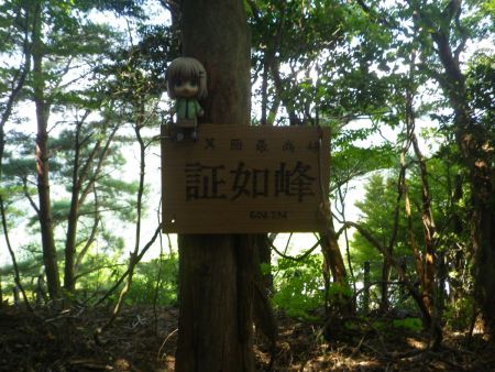 ここでもせっかくなので雪村あおいちゃんと証如峰のプレートを撮影しておいた