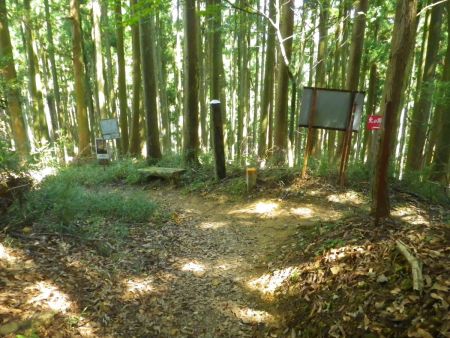 さて、証如峰で休憩したのでさっさと下って東海自然歩道に合流する。ここを左側に行くとすぐに分岐がある