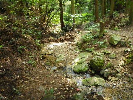 ここで沢を渡ると広い道をひたすら歩いて行けばいい