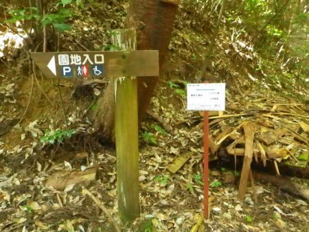 勝尾寺園地入口の道標があった。人の声が聞こえてるのでもうかなり近い