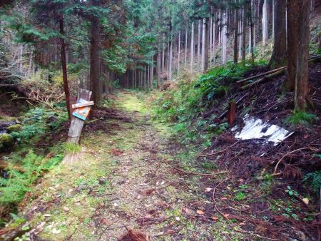 このチェーンをまたいで入っていく