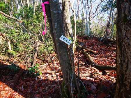 岩茸山への登り口がここ。せっかくなのでピークハントする