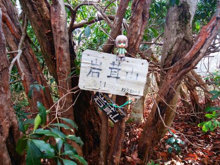 せっかくなので雪村あおいちゃんを撮影しておいた