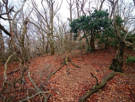 桟敷ヶ岳直下は荒れているし踏み跡もわずか。さすがは北山って感じだった