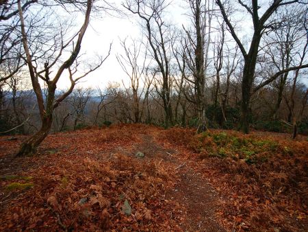 午前中で山行行程を終わらせたいのでさっさと下山することにした