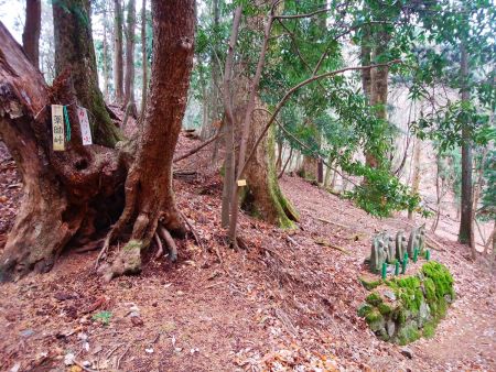 薬師峠のここから地蔵のほうへ行って谷を下っていく