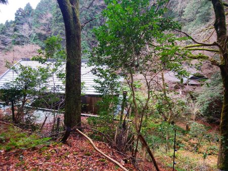 この建物は志明院かな！？誰か住んでる感じもするんだけどね