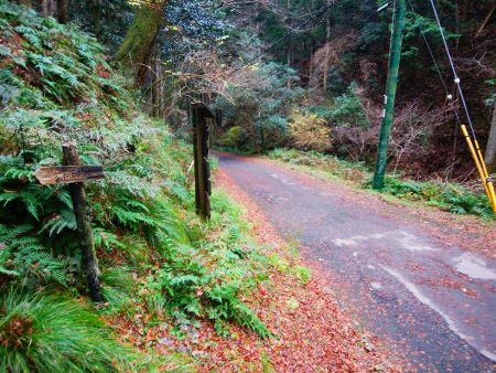 林道にでた。このまま道路歩きで西谷林道入り口へ戻る