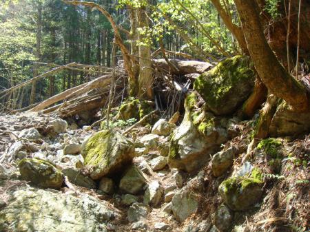 崩れた箇所もいくつかある