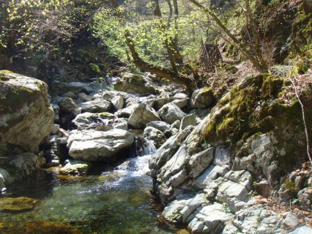 大峯らしい沢だ
