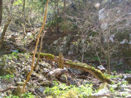 左に折れてすぐ登りになる