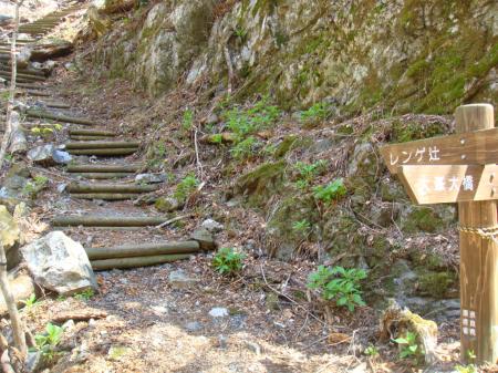 ここからレンゲ辻まで突き上げの急登がはじまる