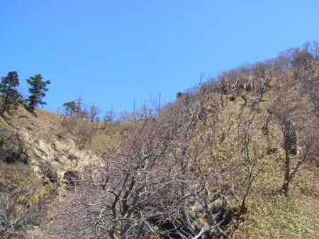 稜線まで階段が続く。天気が良い