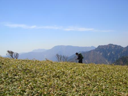田村君が絵になっているｗ