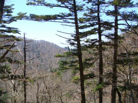 稲村小屋が見えてきたがちょい遠い